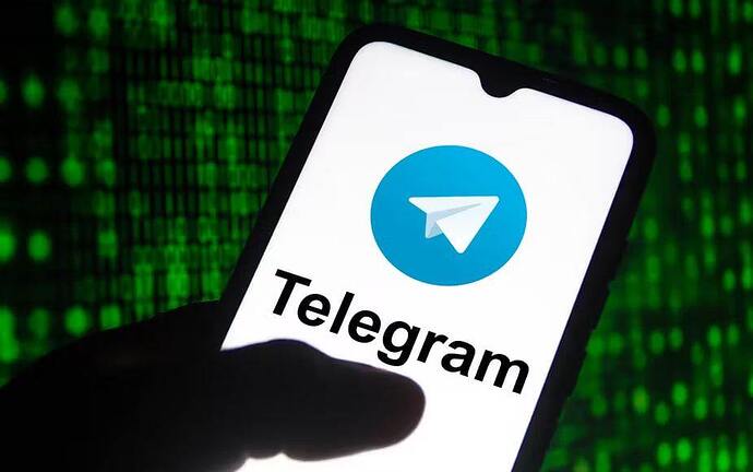 telegram-cloud-photo-size-1-5044312632886145228-y